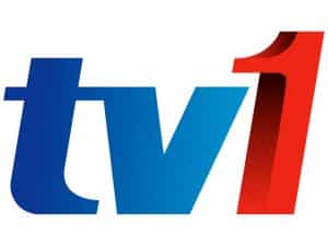 RTM TV 1 logo
